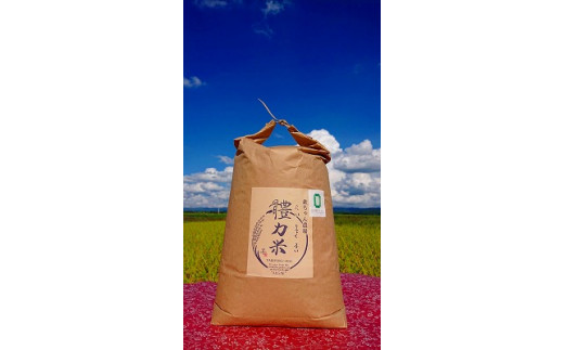 yȖ،cszߘa7NxY 铗͕āi傭܂jRVqJ  10kg b  V uh Ȗ، cs