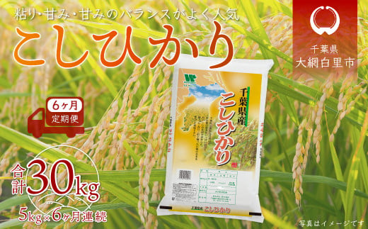 6ヶ月定期便＞千葉県産「コシヒカリ」5kg×6ヶ月連続 計30kg ふるさと納税 米 定期便 5kg コシヒカリ 千葉県 大網白里市 送料無料 -  千葉県大網白里市｜ふるさとチョイス - ふるさと納税サイト