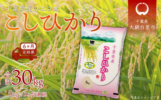 ＜6ヶ月定期便＞千葉県産エコ米「コシヒカリ」5kg×6ヶ月連続 計30kg ふるさと納税 米 定期便 5kg コシヒカリ エコ米 千葉県 大網白里市  送料無料 - 千葉県大網白里市｜ふるさとチョイス - ふるさと納税サイト