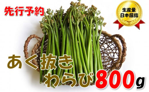 【先行予約・数量限定】採れたて山菜 あく抜きわらび 200ｇ×4束