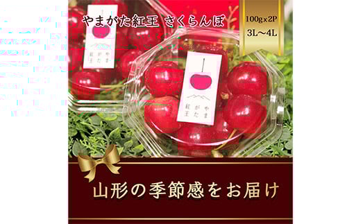 ３L　やまがた紅王　山形県産　さくらんぼ　７００ｇ 楽天市場】さくらんぼ やまがた紅王 ( べにおう ) 約700g [ 特秀