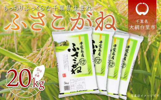千葉県産精米ふさこがね