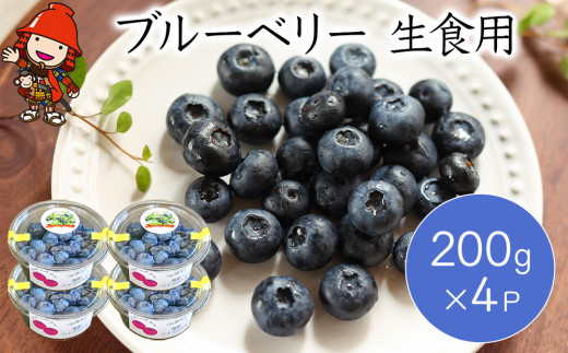 ブルーベリー 200g×4P 生食用 フルーツ 果物 くだもの ラビットアイ