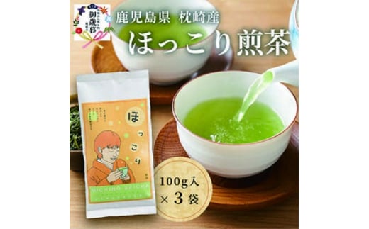 yszΕÊt(Ԓ̂ݎgp)ق 100g×3 A5-1Sy1460812z