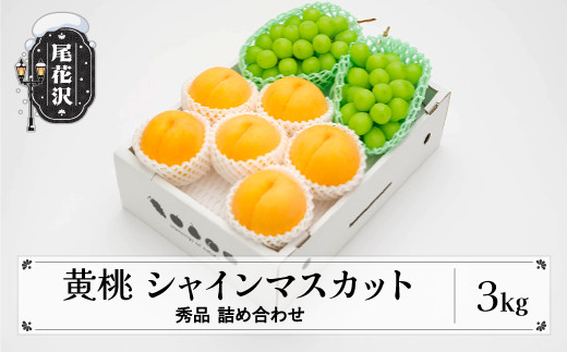 先行予約 有袋黄桃 シャインマスカット 秀品 詰め合わせ 3kg 2024年産 令和6年産 山形県産 送料無料 もも ぶどう 果物 フルーツ  セット※沖縄・離島への配送不可 ns-fsosx3