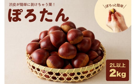 y򕌌ÐszyԌzቷ Zۂ낽iIjZ_Ƌgy10`12{z F4N-1960