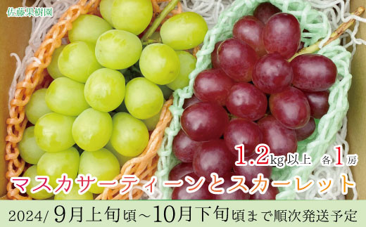 サンプル写真