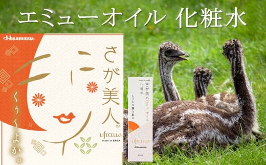 yꌧRzG~[ICϐ 2{yCtZlzyRX ϐ n ێ Ƃ G~[ ICzK053004