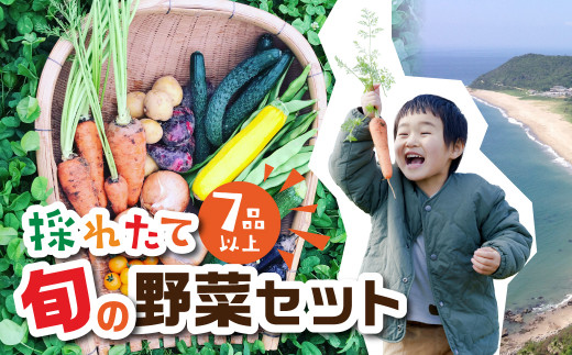 ymcsz܎ L@͔| {ʖ؃Zbg {̖ 7iڈȏ Vst ͂ Y VN _sgp w엿sgp Yn 