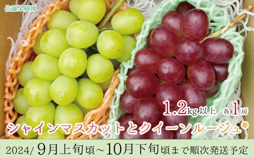 サンプル写真