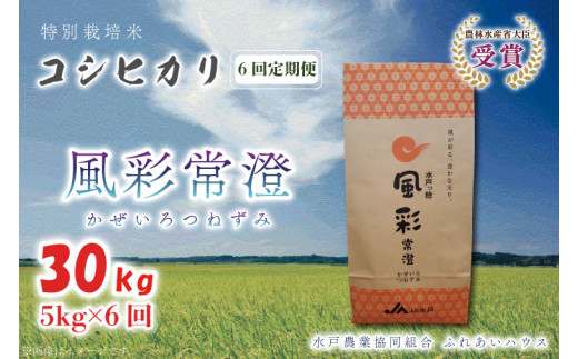 FC-4 【6ヶ月定期便】【令和5年産】特別栽培米コシヒカリ「風彩常澄