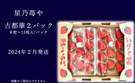 【先行予約】【古都華】2パック 2024年2月発送 // いちご イチゴ 古都華 奈良 奈良県