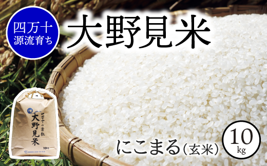 新米予約 〉【 四万十源流 育ち 】特別栽培 大野見米 にこまる 10kg ( 玄米 ) ご飯 米 お米 にこまる 四万十 -  高知県中土佐町｜ふるさとチョイス - ふるさと納税サイト