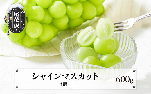 先行予約 ぶどう シャインマスカット 秀品 600g 1房 化粧箱入 フルーツ 果物 2024年産 令和6年産 山形県産 ns-busmx600