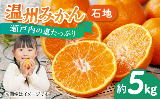 yL]cszvɂ߂H׍IIB݂iΒn j5kg × 1 ʕ t[c ӂ[ ݂  k ~ X[W[ [Og IW t[c ~J Mt