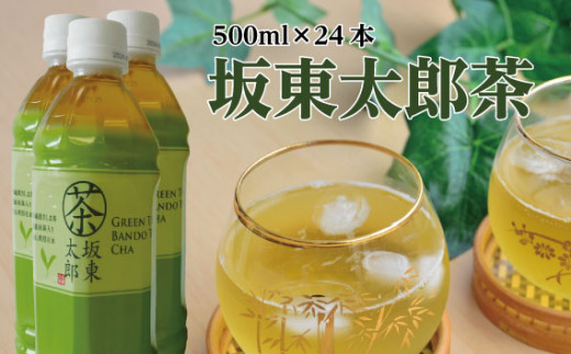 No.482 坂東太郎茶 500ml×24本 ／ お茶 飲料 さしま茶 茨城県 - 茨城県