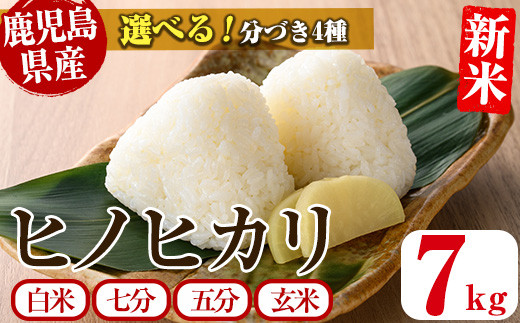 サンプル写真