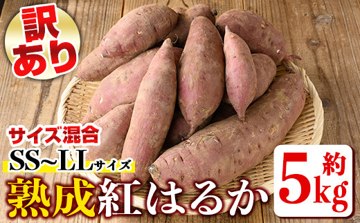 さつまいも 紅はるか 送料無料 4.5kg 熊本県産 べにはるか サツマイモ 紅蜜