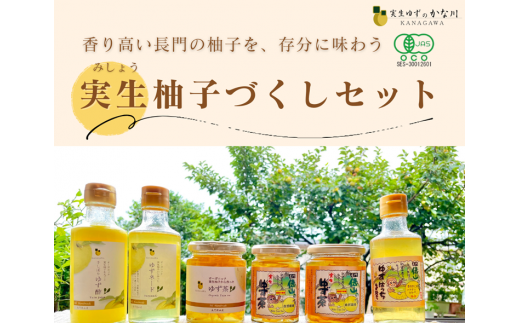 ゆずづくしセット 冷蔵 実生ゆず 柚子茶 柚子酢 ゆずネード 俵山 長門