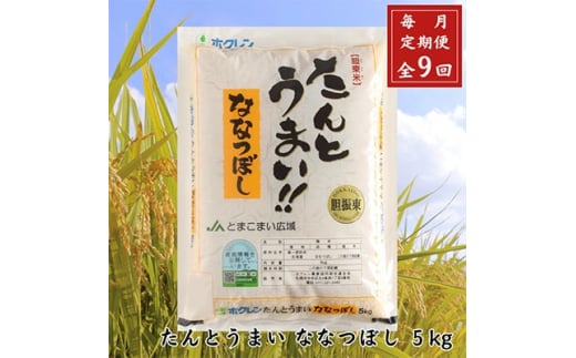 ＜毎月定期便＞＜安平町特産品＞たんとうまい5kg 〔ななつぼし〕全9回【4005494】