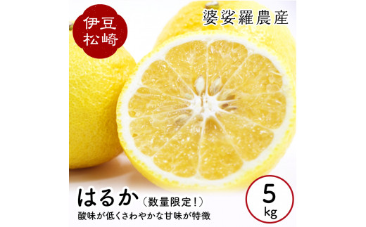 yÉ蒬zkO_Y ͂邩 Tkg