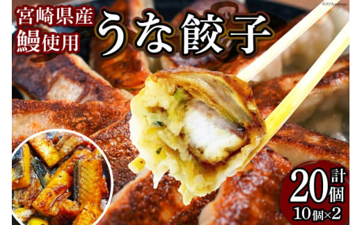 宮崎餃子 餃子専門店の手作りへべす餃子（15個×4セット）計60個 [餃子