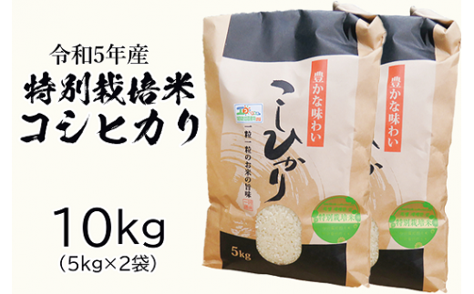 令和五年産特別栽培米 コシヒカリ 10kg お米 ライス 炭水化物 ご飯 主食 食卓 おにぎり お弁当