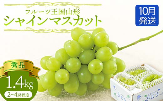 プレミアム特秀品大粒シャインマスカット 2キロ 摘み落とし 高級品種