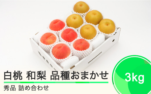 もも 白桃 秀品 和梨 詰め合わせ 3kg フルーツ 果物 なし 令和6年産 2024年産 山形県産 送料無料 ns-fshnx3