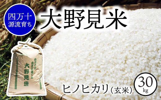 四万十源流】特別栽培大野見米ヒノヒカリ30ｋｇ（玄米） - 高知県中