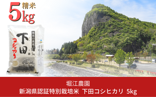 定期便5kg×3ヶ月] 特別栽培米 コシヒカリ5kg 新潟県認証 新潟県三条市