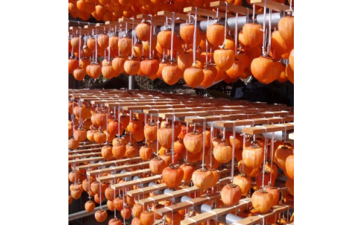 yRRszbBYu͘I`vL`LLTCY16`20@1.2kgȏy1361416z