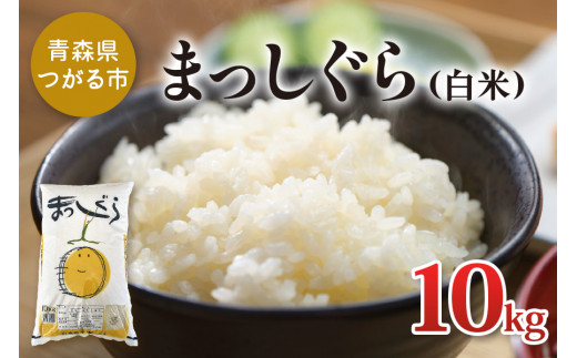 食品/飲料/酒青森県産　29年　つがるロマン　中米の白米24kg