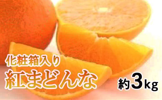 yQRszys\zϔ g܂ǂ 3kg (L`4L)  ݂ g܂ǂ k g܂ǂ ݂ g܂ǂ k g܂ǂ }hi