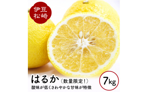 yÉ蒬zkO_Y ͂邩 7kg