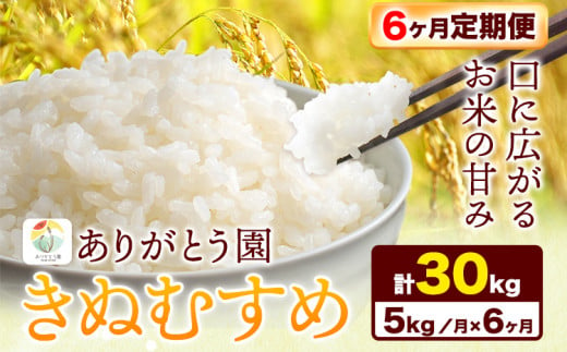 196. 【6ヶ月定期便】令和6年産 米 岡山県産 きぬむすめ 白米 選べる 20kg ありがとう園《お申込み月の翌月から出荷開始》岡山県 矢掛町 米  コメ 一等米 定期便 定期 - 岡山県矢掛町｜ふるさとチョイス - ふるさと納税サイト