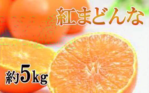 yQRszys\zyƒpzƒp g܂ǂ 5kg(L`4L) ݂ k uh ܂ǂ Q Rs