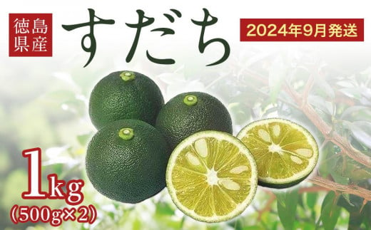 販促モール 徳島県産すだち3Lサイズ 専用 | wolrec.org