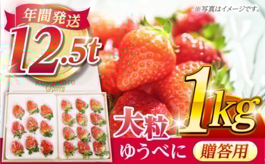 yF{Rszypzϔ 嗱 䂤ׂ 1kgyF{x[zt[c ʕ   C`S  䂤ׂ 嗱 Y F{Y BY   [ZER013]