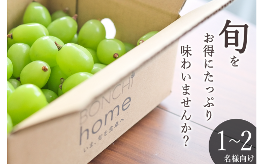 セール！！！本日以降発送！山梨県南アルプス市産 シャインマスカット 