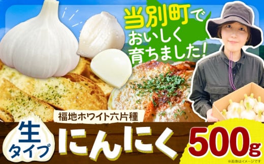 0.4-194] 【令和7年発送先行受付】生にんにく（福地ホワイト六片種）500g - 北海道当別町｜ふるさとチョイス - ふるさと納税サイト