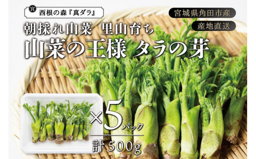 [宮城県角田市産]産地直送 朝採れ山菜　タラの芽　500g