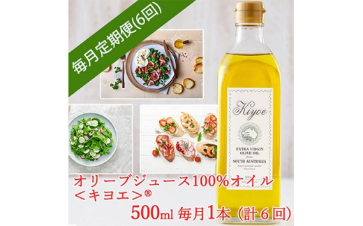 y{؎szցGLXgo[W I[uICELG 500ml × 1{S6y4005675z