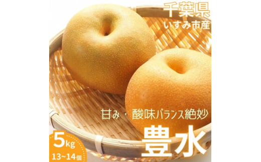 ytݎsz2026NstݎsYL@5kg(13`14)y1462343z