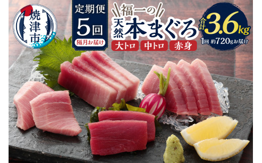 【静岡県焼津市】b200-037 【定期便】 天然本まぐろセット 5回隔月で届け