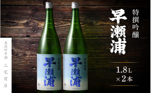 m16-b016] 【早瀬浦】特撰吟醸酒 1800ml × 2本 セット【日本酒 地酒