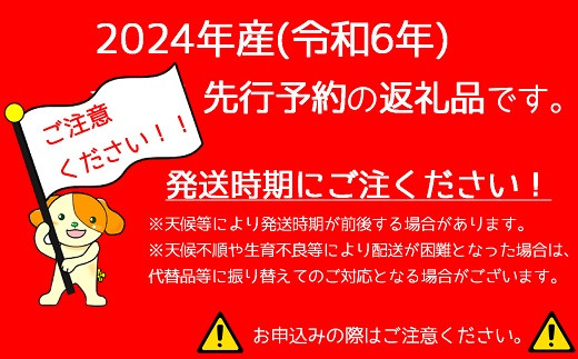 食の都庄内　【令和6年産先行予約】《5・6・7月お届け-A》旬のフルーツの3ヶ月定期便