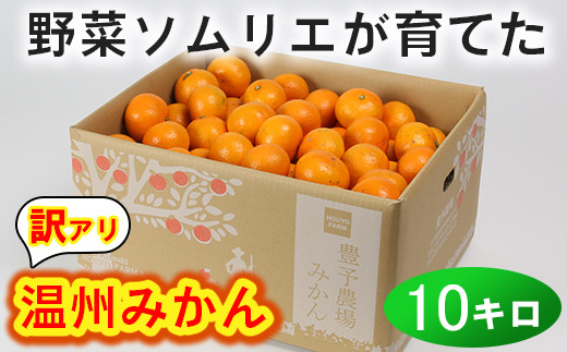 【訳あり・規格外品】野菜ソムリエ石児さんの「温州みかん 約10kg