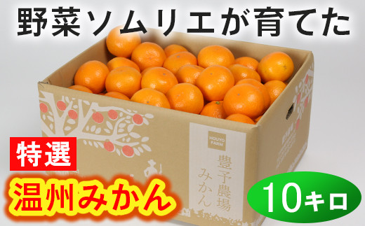 柿１０キロ みかん１０キロ