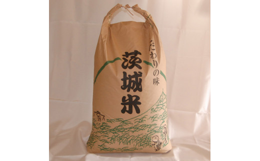 E390) 獅子米いのちの壱 玄米30kg【令和５年産】 - 茨城県石岡市